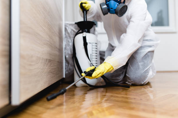 Best Pest Control Near Me  in West Bishop, CA