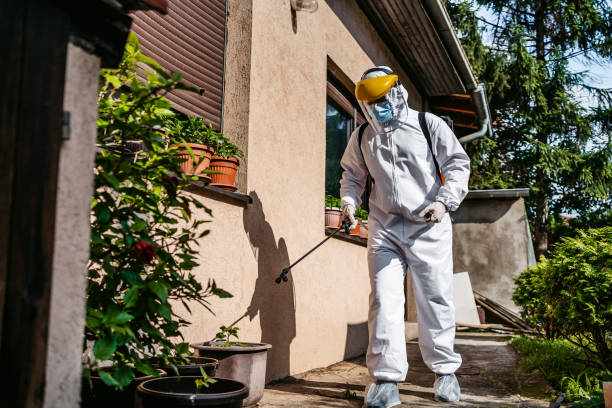 Best Pest Inspection Near Me  in West Bishop, CA