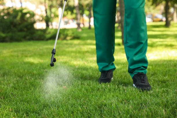 Best Wasp Removal Services  in West Bishop, CA