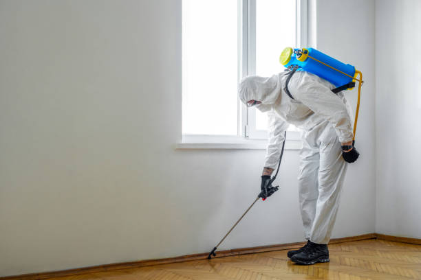 Best Local Pest Control Services  in West Bishop, CA