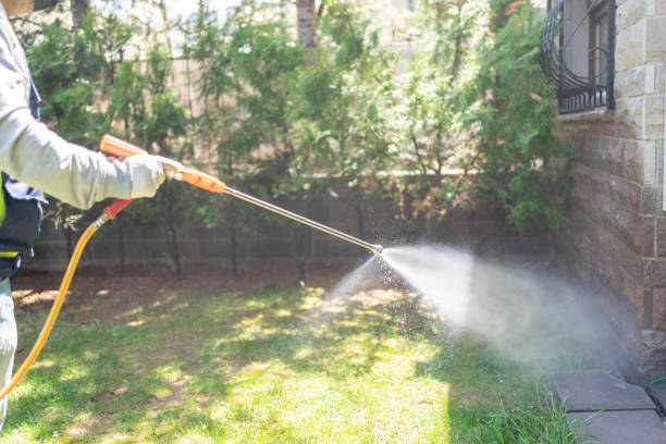 Best Pest Inspection Near Me  in West Bishop, CA