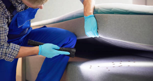 Flea Control Services in West Bishop, CA