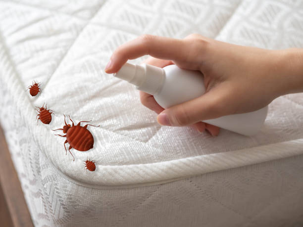 Best Pest Control for Restaurants  in West Bishop, CA
