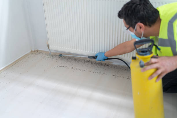 Best Pest Prevention Services  in West Bishop, CA