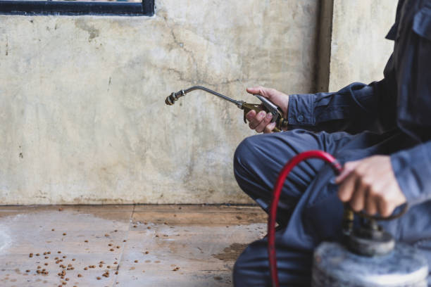Best Rat Extermination Near Me  in West Bishop, CA