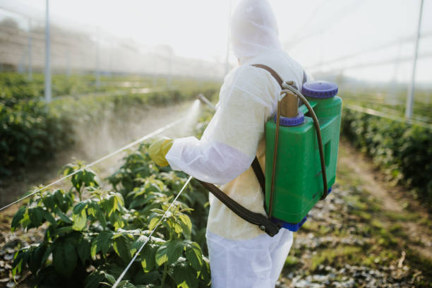 Best Best Pest Control Companies  in West Bishop, CA
